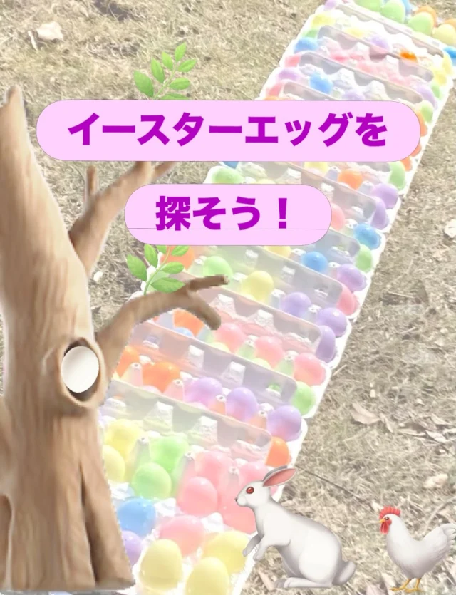 Happy Easter!

✳︎✳︎✳︎

　イースターは、イエス・キリストの復活を祝うお祭りです。基本的に「春分の日から最初の満月の次の日曜日」に祝われます。そのため、年によって日付が変わる移動祝日です。
　ドイツではイースターの日に子供たちは外へ卵を探しに行きます。その卵はイースターうさぎが隠したという伝説があります。イースターうさぎはにわとりと協力してイースターにみなさんの庭に卵を隠します。

✳︎✳︎✳︎

　4月4日のイースター卵探しイベントは、イースターうさぎがグリムの館にやってきて、草むらや茂みに150個の卵を隠し、子供たちに探してもらうイベントでした。
　子供たちは網をもらって、卵を探し出して集めました。卵狩りの結果は、子供一人で、プラスチック卵10個くらいを集めました。
　卵を隠したイースターうさぎは、子供たちのために、小さいチョコレートのイースター卵やドイツお菓子をイースターかごに入れてくれてくれたので、卵狩りが終わったあと、子供たちはそれを持ち帰ったようですよ。

#栃木県 #下野市 
#shimotsuke 
#下野市国際交流協会 
#国際交流員マルセル　バックさんのイベント